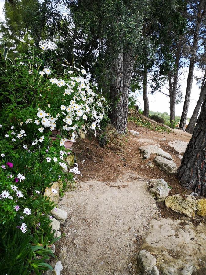 Apartamento Entre La Playa Y La Montana Calafell Eksteriør billede